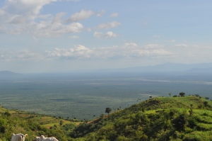 Signs of the Rift Valley
